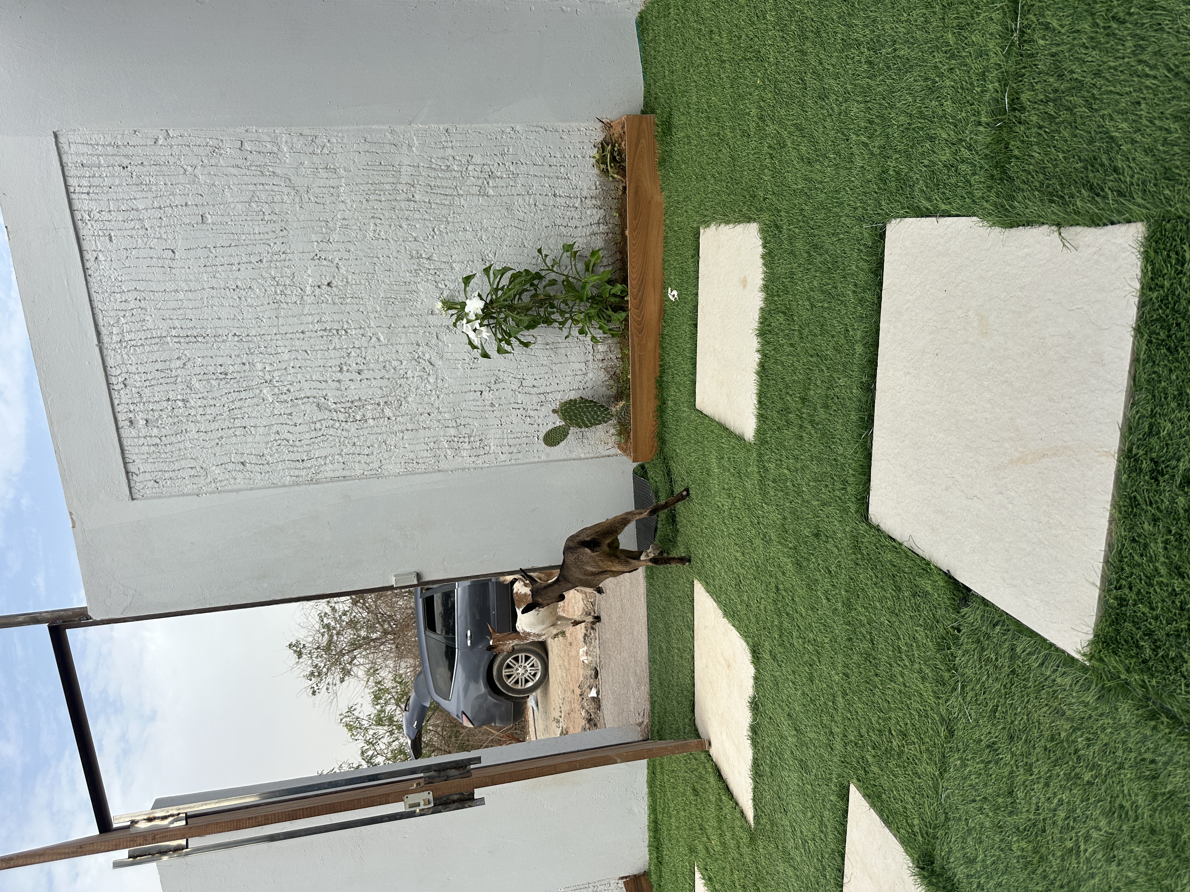 Modèle Villa Horizon